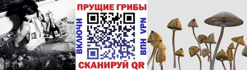 Псилоцибиновые грибы мухоморы хочу наркоту Ершов