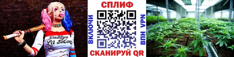 Шишки марихуана марихуана  как найти   Ершов 
